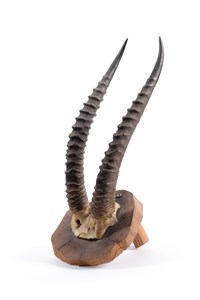 Image description is not available for 2014.2.1